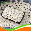 8-10cm shine skin middle size pumpkin seeds